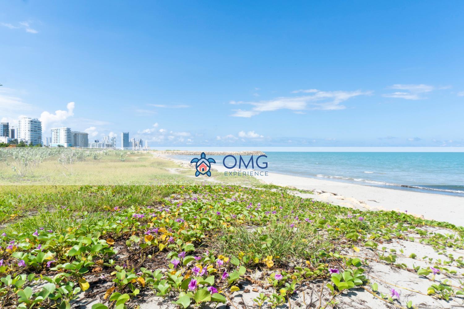 Cb1035 | Increíble Boho Natual Cama King Apartamento Cartagena