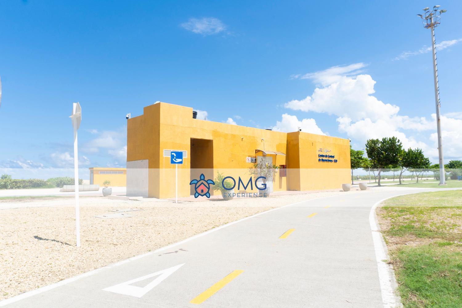 Cb1035 | Increíble Boho Natual Cama King *